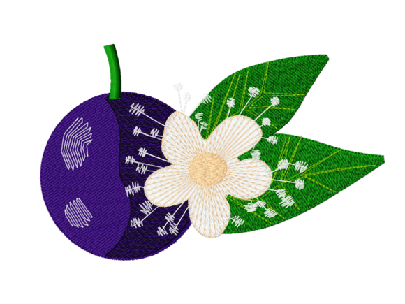 Jabuticaba Embroidery Design Review